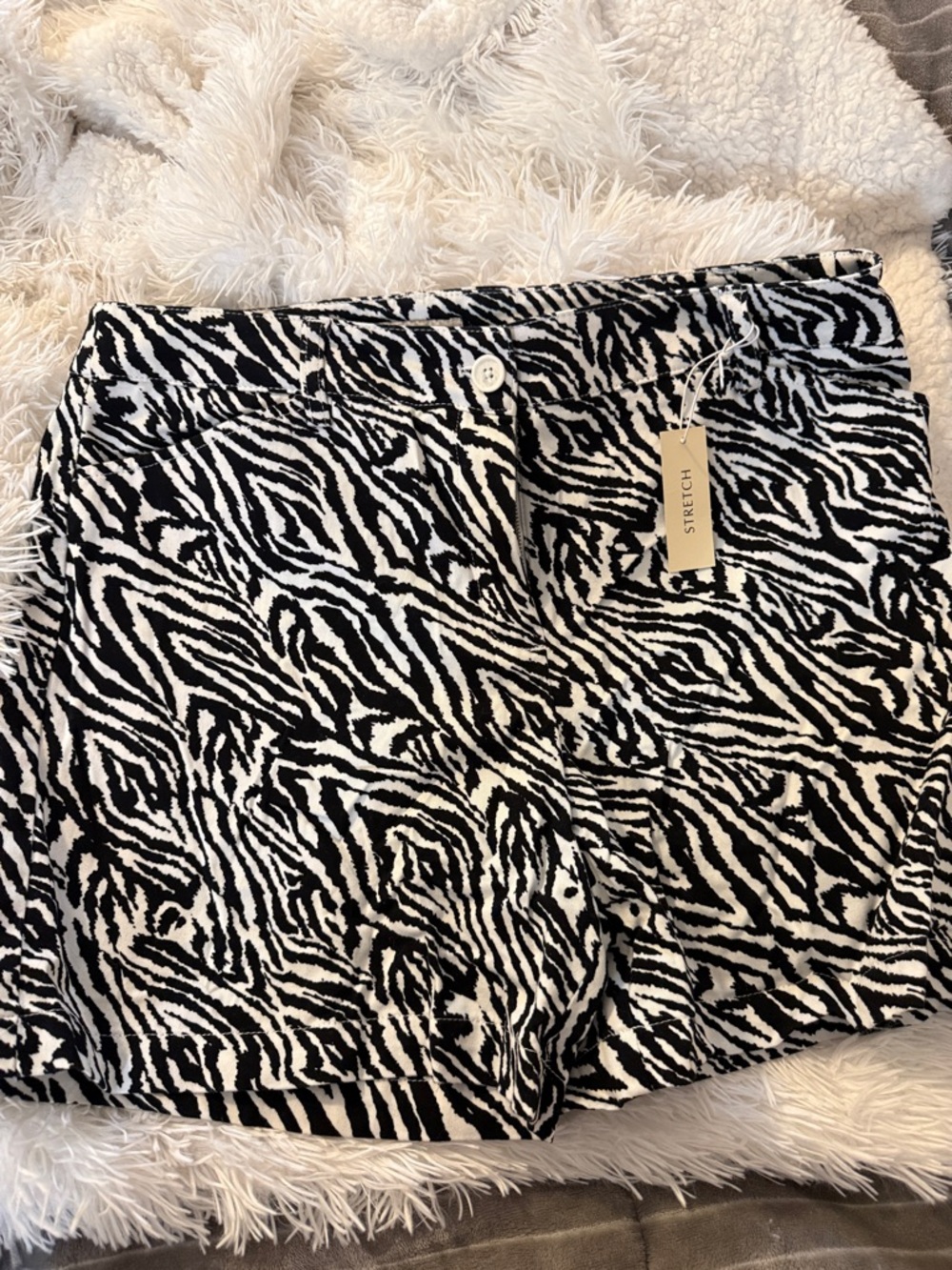Black & White Zebra Print Stretch Shorts